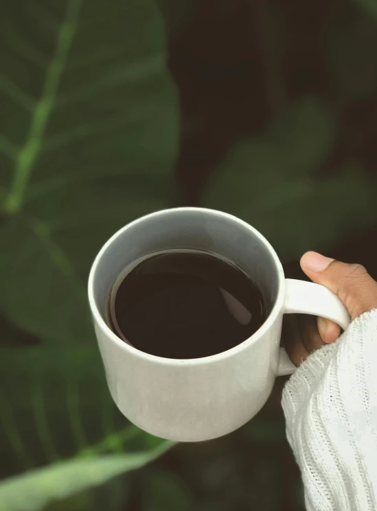 the hand holds the coffee in front of a green leaf