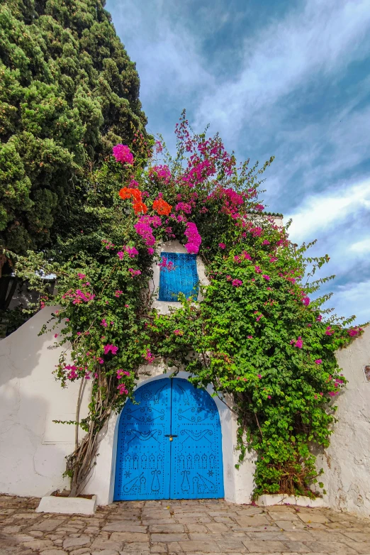 a door with some flowers on it in the middle of a road