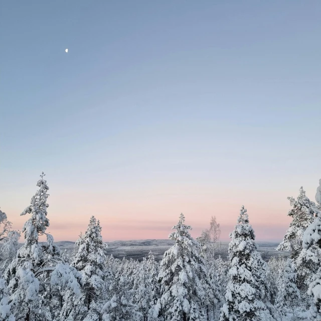 snowy landscape with trees in foreground and moon in the sky