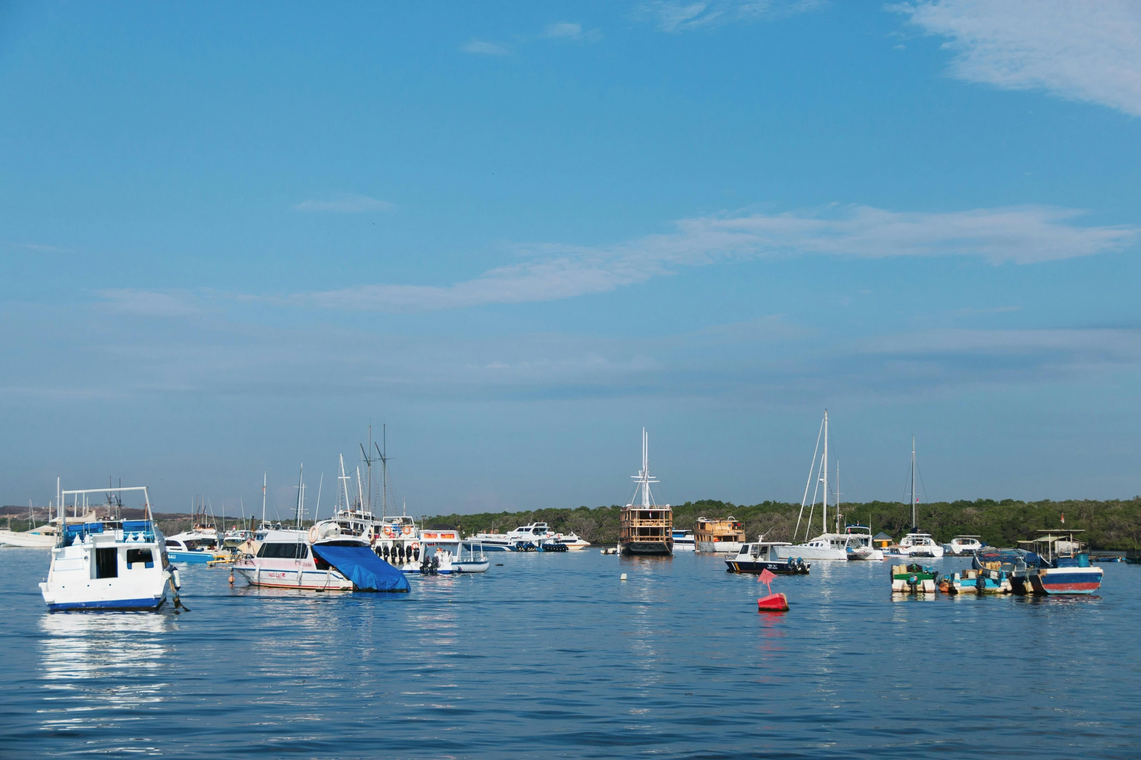 large group of boats floating on a lake