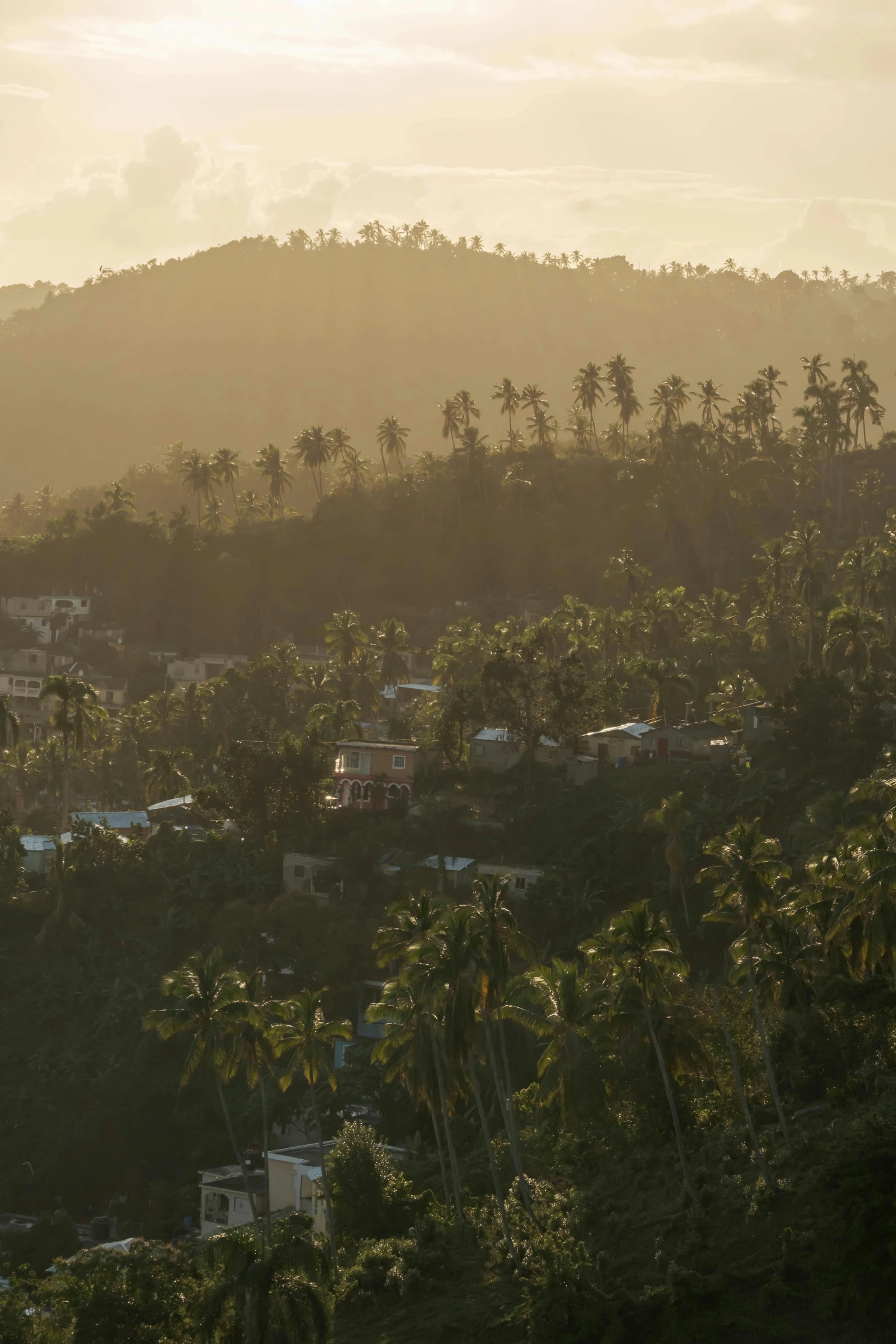 trees line the mountains surrounding the small town