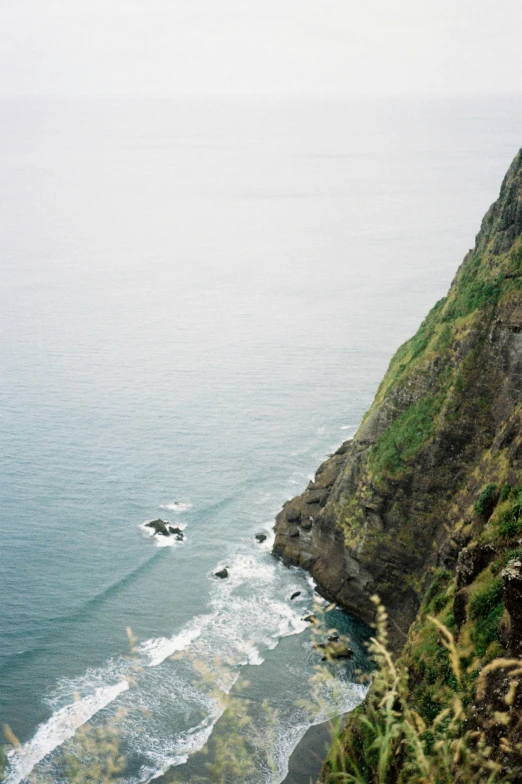 water near the rocks of the cliff has green vegetation