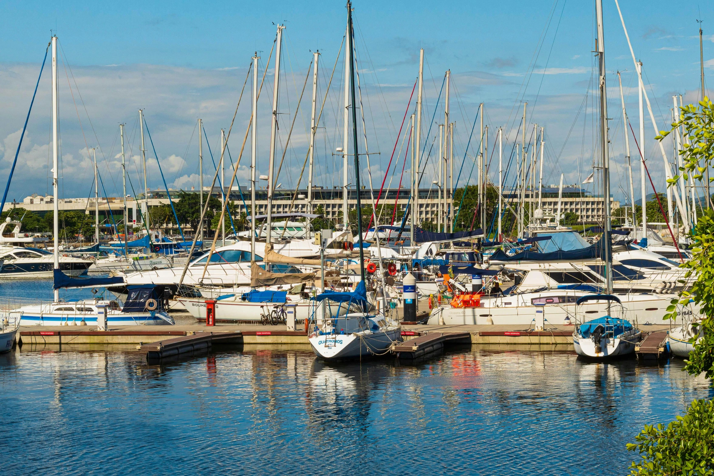 several sailboats are parked in the harbor