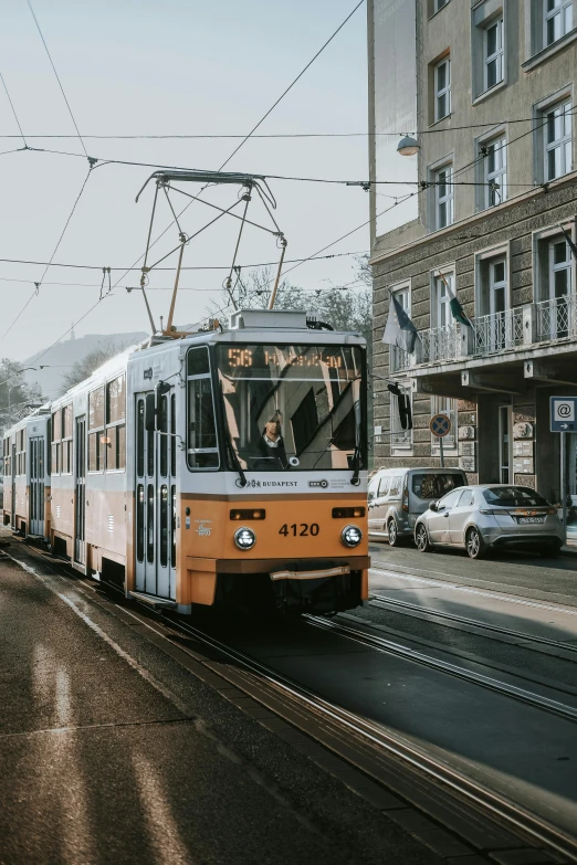 a city bus is moving down the street