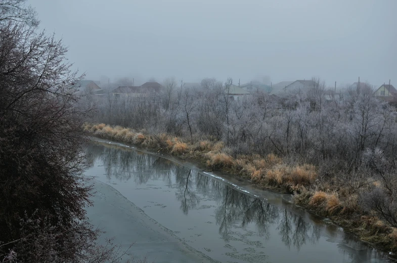 a small river on a very foggy day