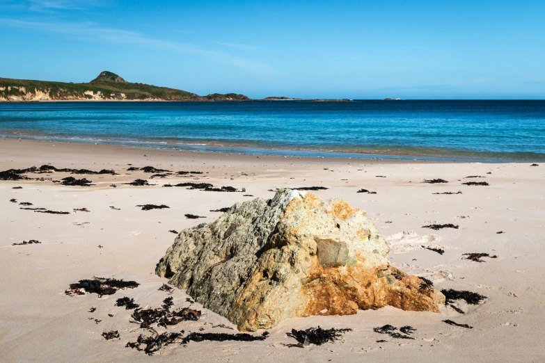 a rock on the shore of the beach is surrounded by seaweed