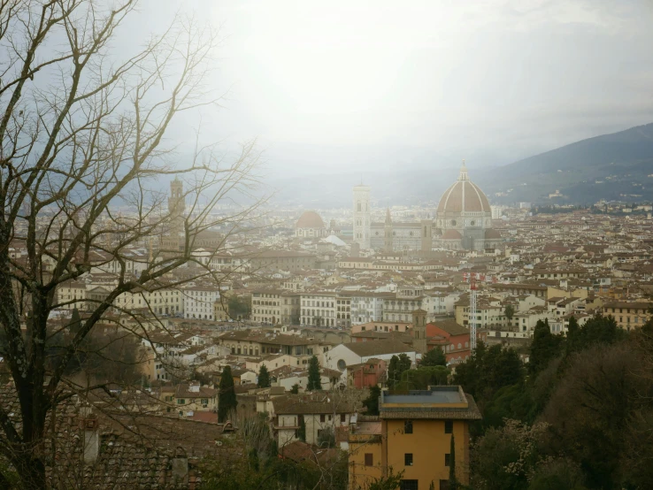 view of the city with trees and mountains