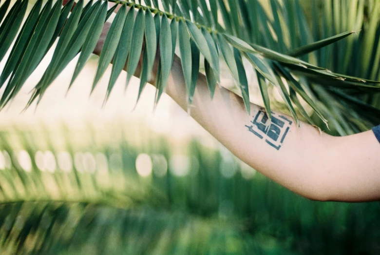 a man with a tattooed arm is holding a plant