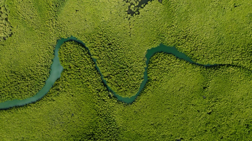 an aerial view of the mean and its banks