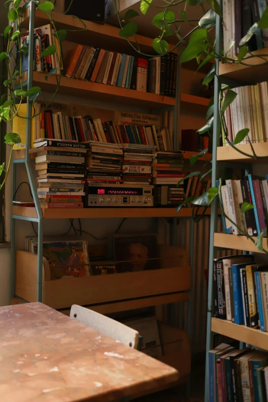 books and dvds stacked up on wooden shelves in a room