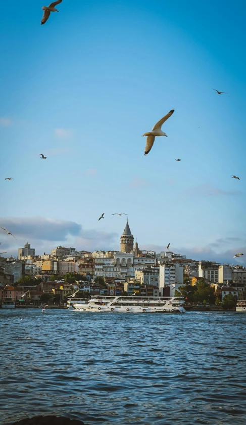 seagulls are flying over the ocean with a city in the background