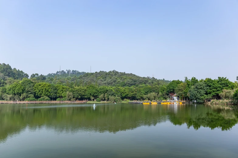 boats are sitting in the water near the woods