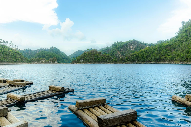 some logs laying in water and hills behind them