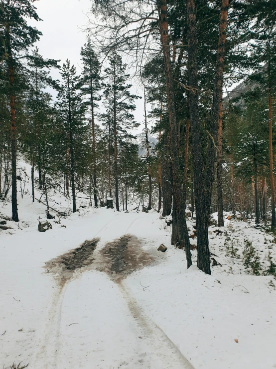 a snow covered road with trees on both sides and a trail through the woods