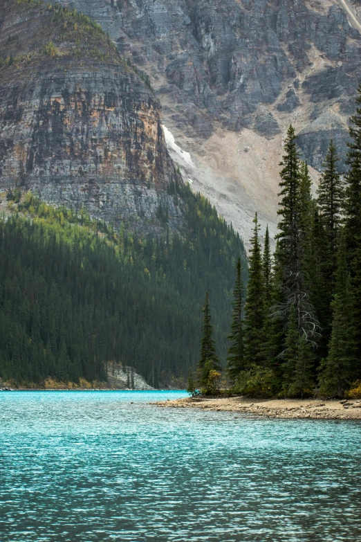 a lake that is near the woods