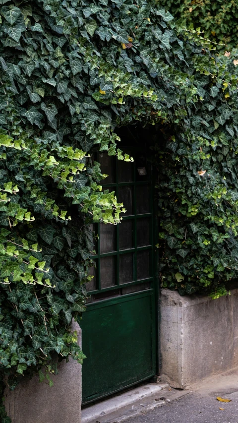 a green gate is surrounded by ivy covered walls