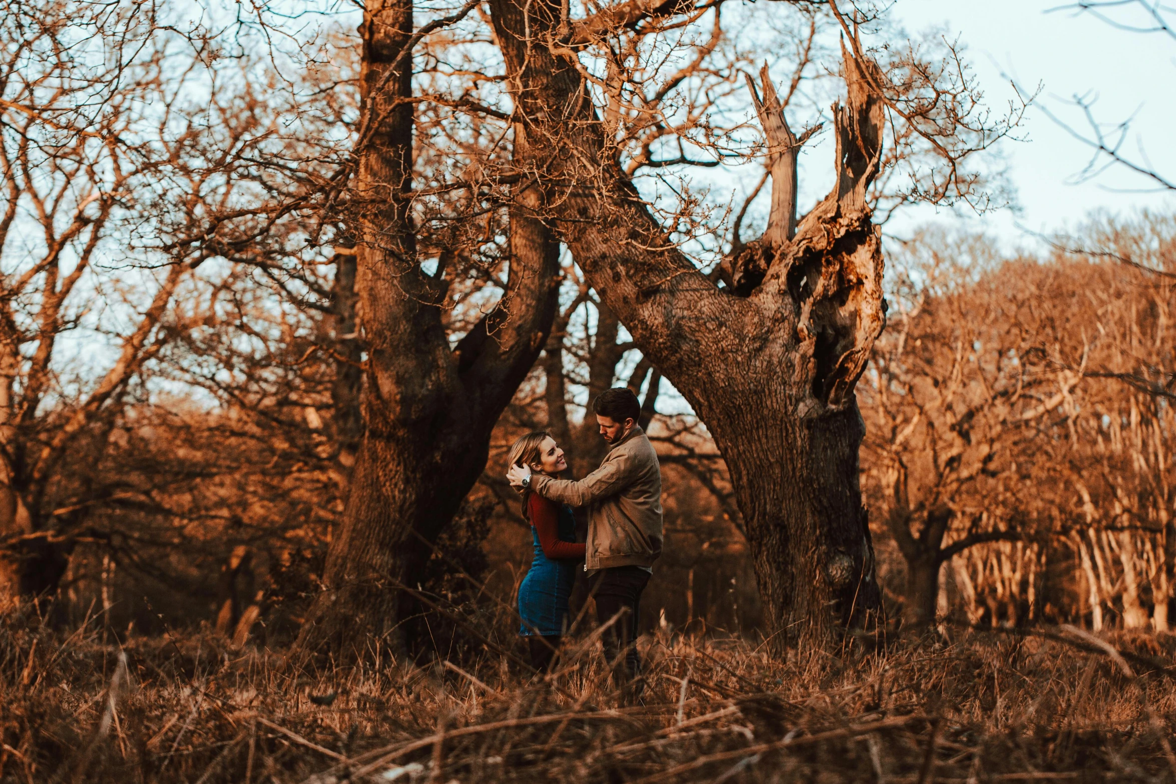 two people standing near trees in the grass