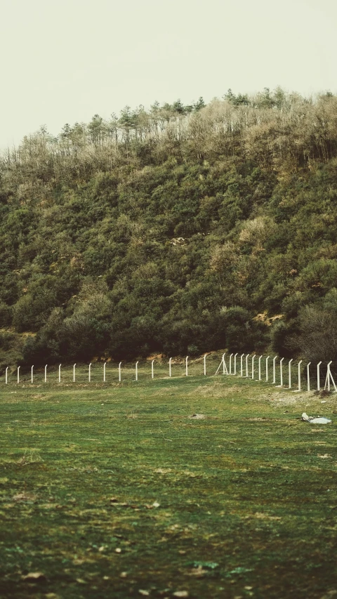 a green grassy field in front of trees and hills