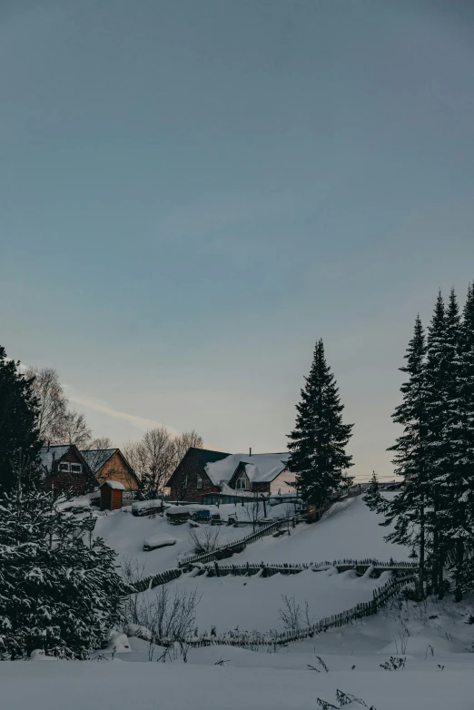 a snowy town is nestled next to evergreens and pine trees