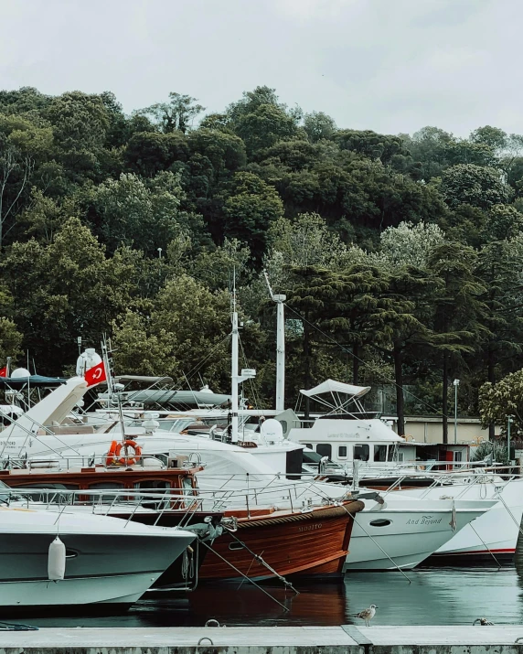 several boats docked next to each other on a lake