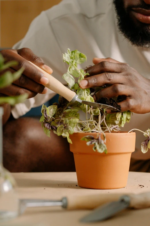 a man  up lettuce with a wooden knife