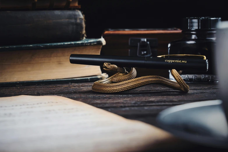 a pen on top of an open book and a black object next to it