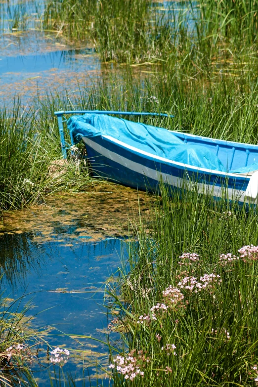 a small blue boat on the side of a lake