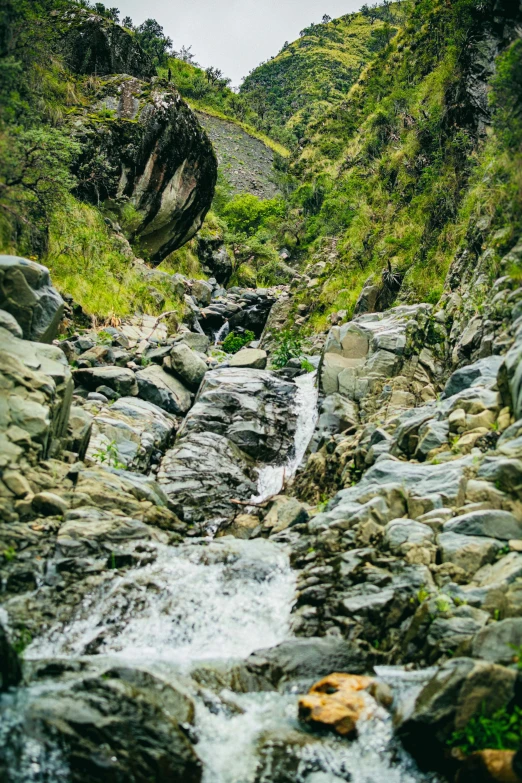 rocks and bushes are in a narrow river