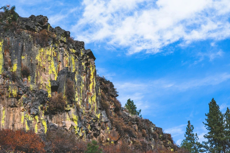 a large mountain side with yellow moss on it