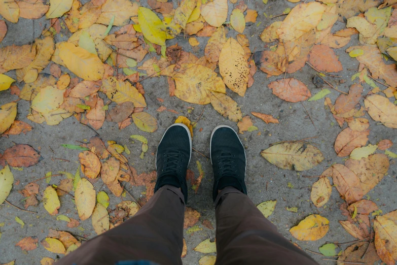 a person stands on a sidewalk full of leaves