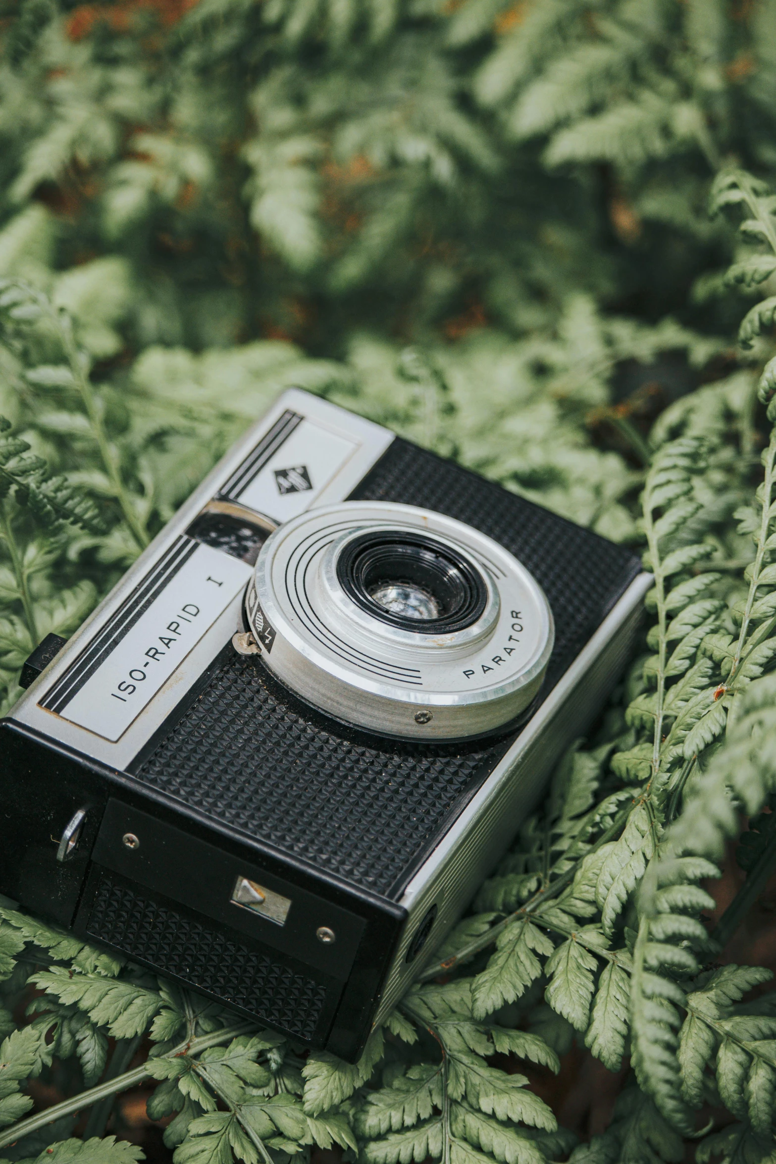 an old camera sits on a fern covered ground