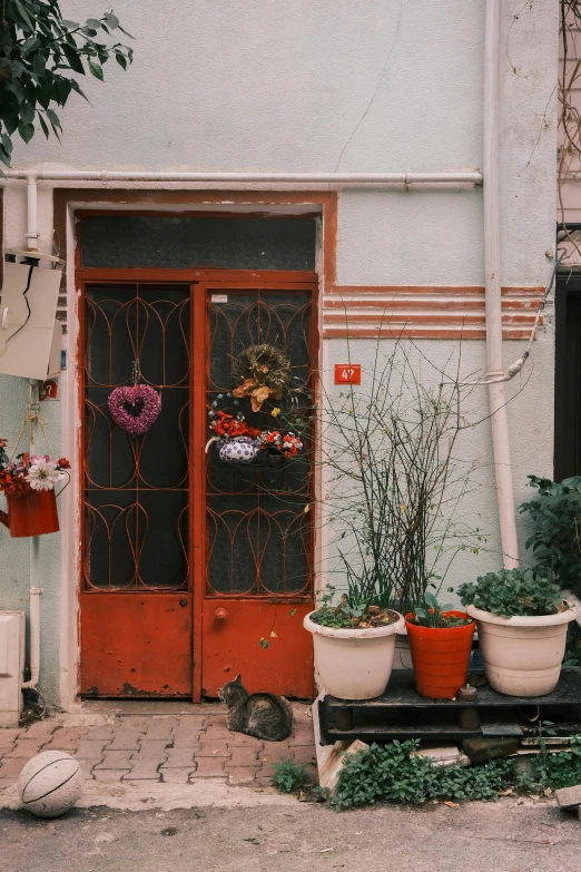 the house is painted green and white with potted plants