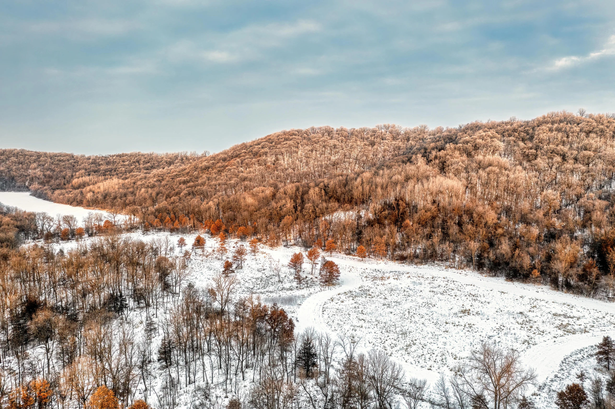 a snowy hillside covered in dead grass next to tall trees