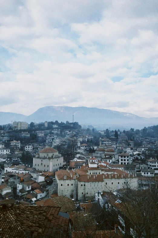 the roofs are brown and black on the roofs