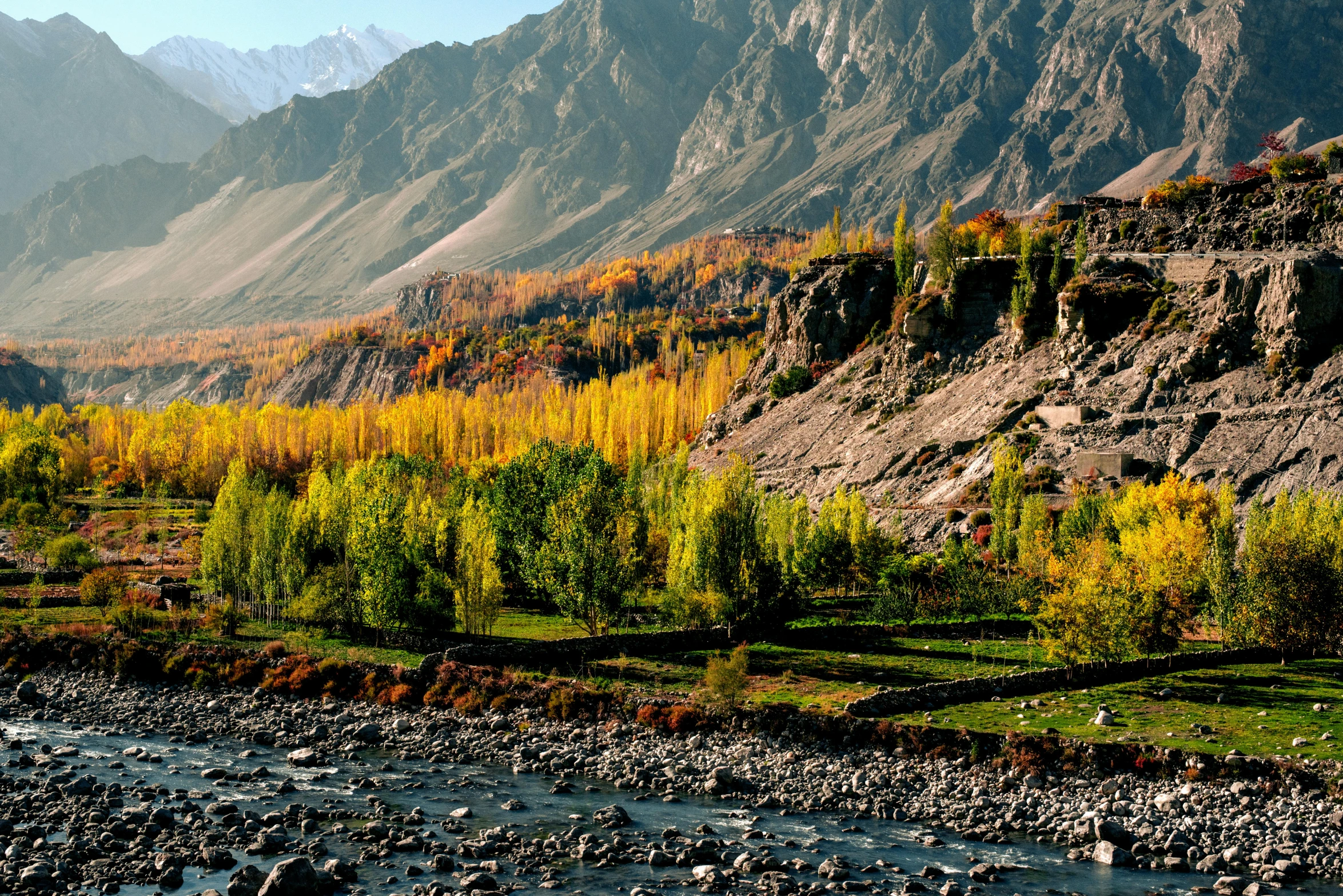 the trees on the mountains have turning colors