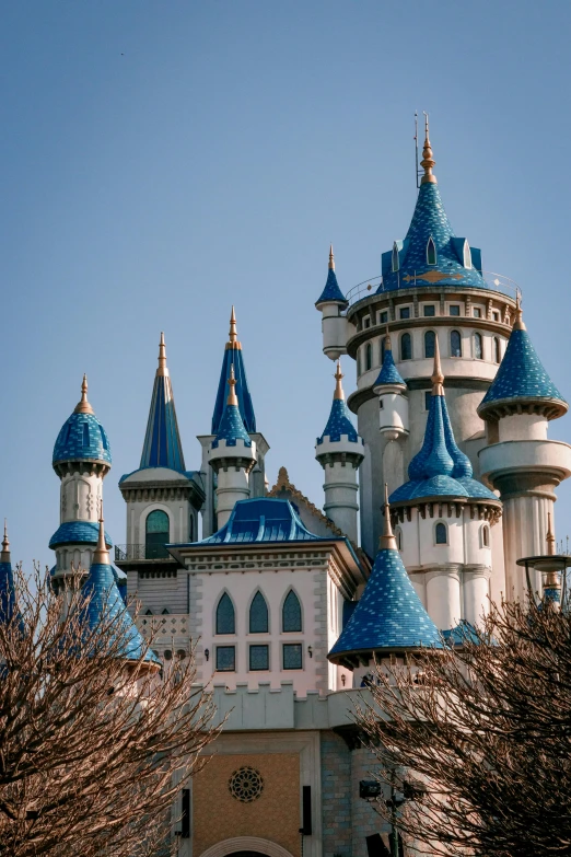 a po taken from the ground looking at a white castle with blue domes