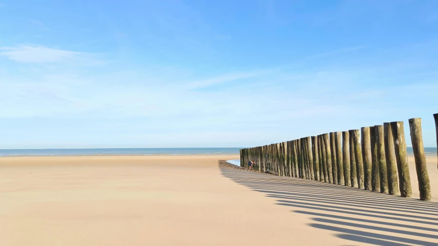 a row of wooden posts on the beach