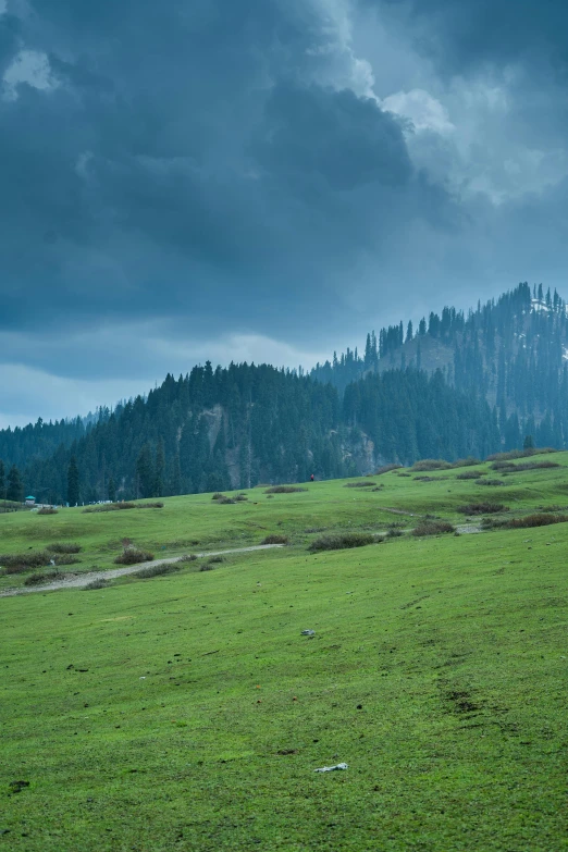 a green field surrounded by a hill with many trees