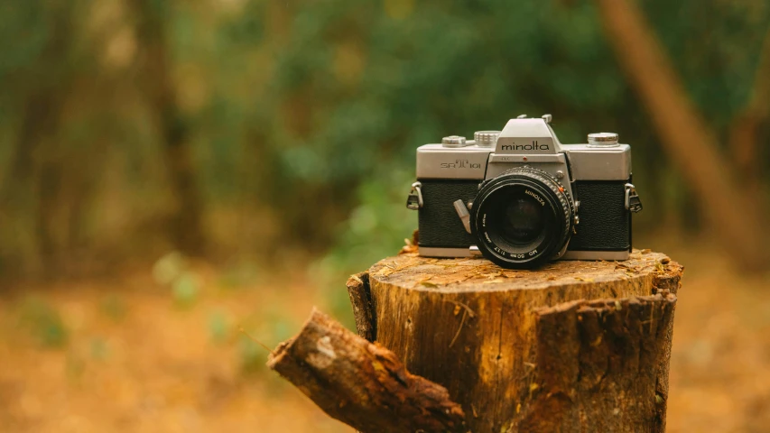 a camera sitting on top of a log in the woods