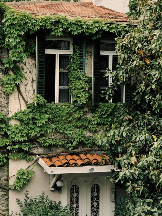 a house with ivy growing around it and some windows