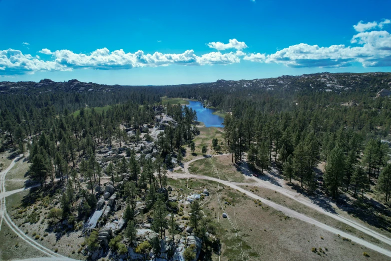 an aerial view of a forested area and river