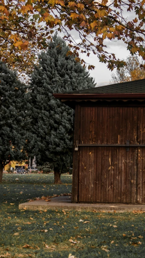 a tree with yellow leaves near a building