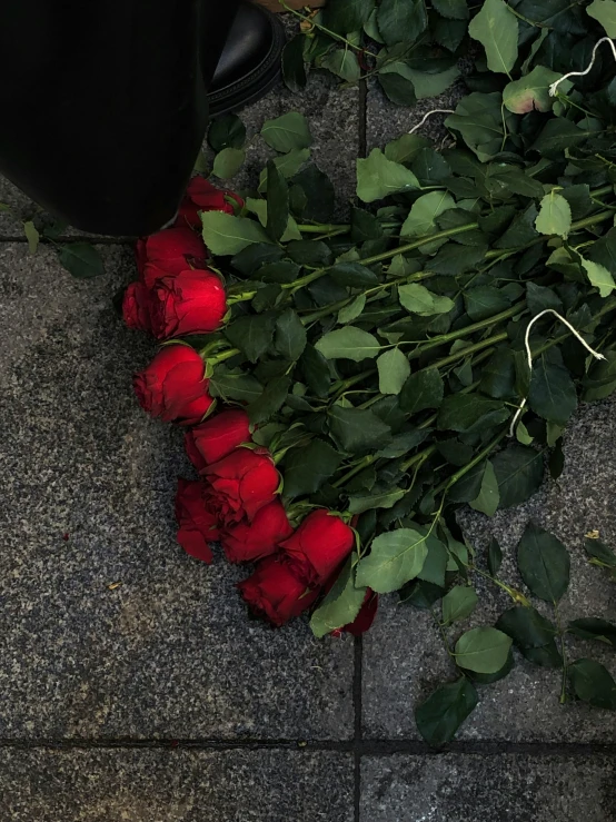 a bouquet of roses is laying on the ground