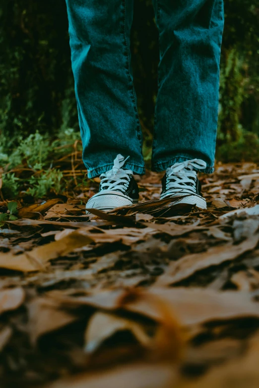 a person is standing on the leaves in the woods