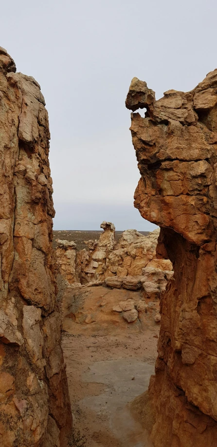 the giraffes are sitting on the tall rocks by the water