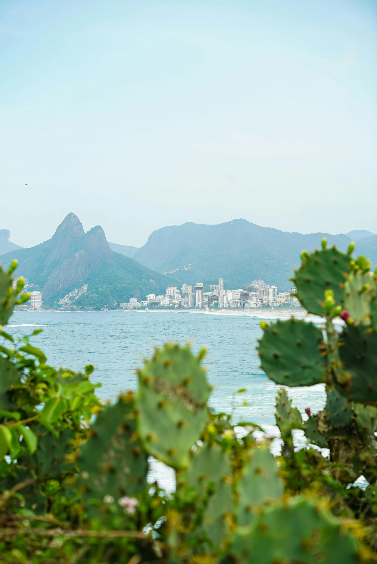 this view is from an island with lush vegetation and mountains