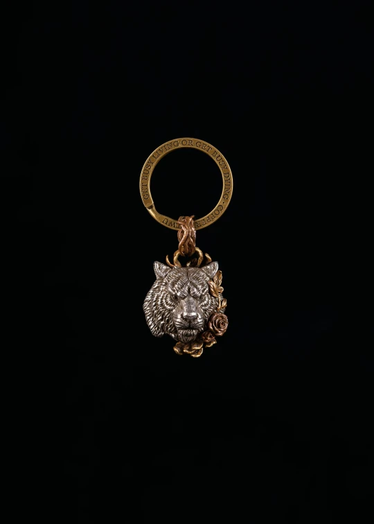 the front of a gold and diamond owl charm