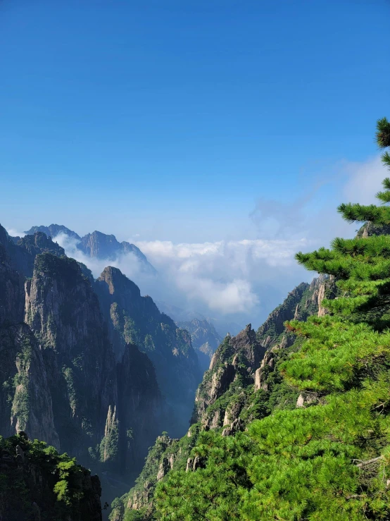 mountains with vegetation and trees and fog in the valleys