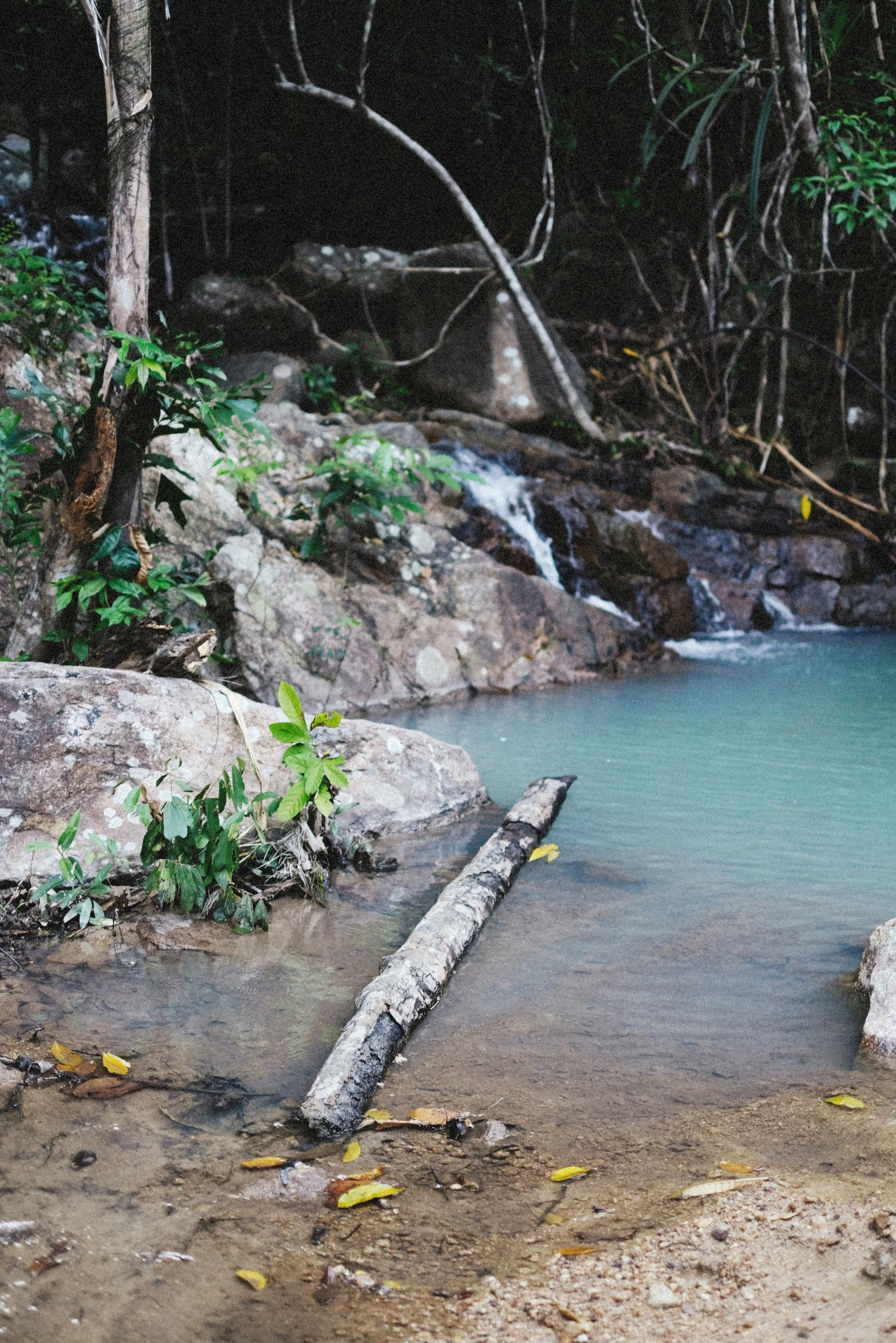 a small pool of water surrounded by rocks