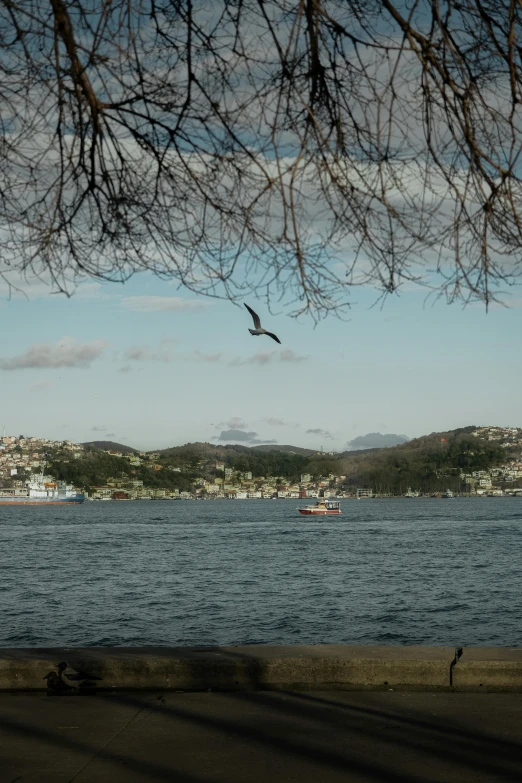 a large body of water with a bird flying over it